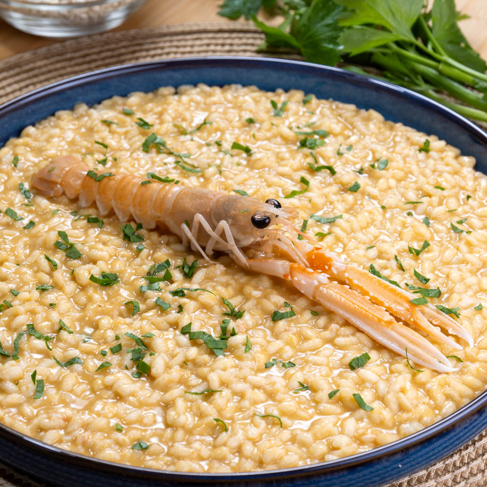 risotto alla crema di scampi