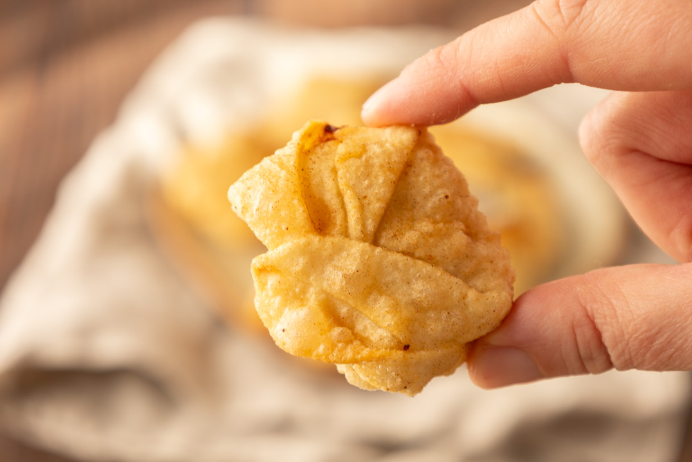 wanton fritti